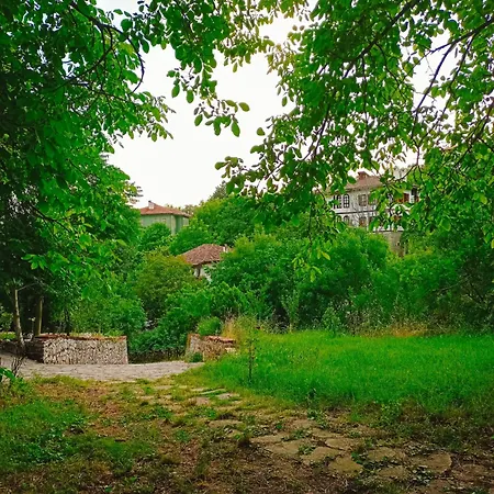 Asya Safranbolu